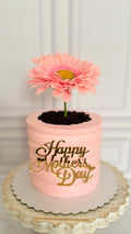 Flower Pot Cake